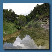 Reflejos.